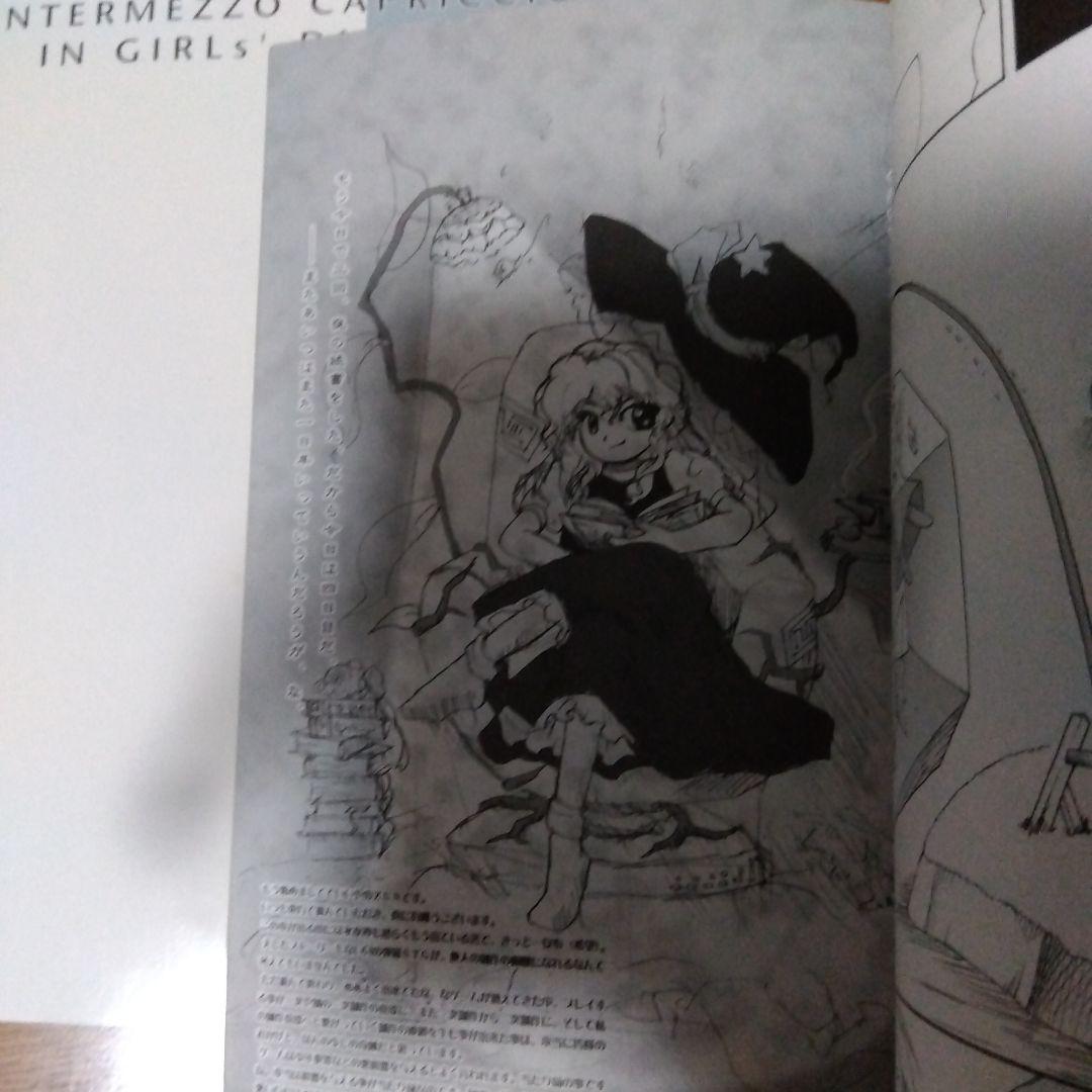 東方Project　妖紅綺想　2冊　ZUN