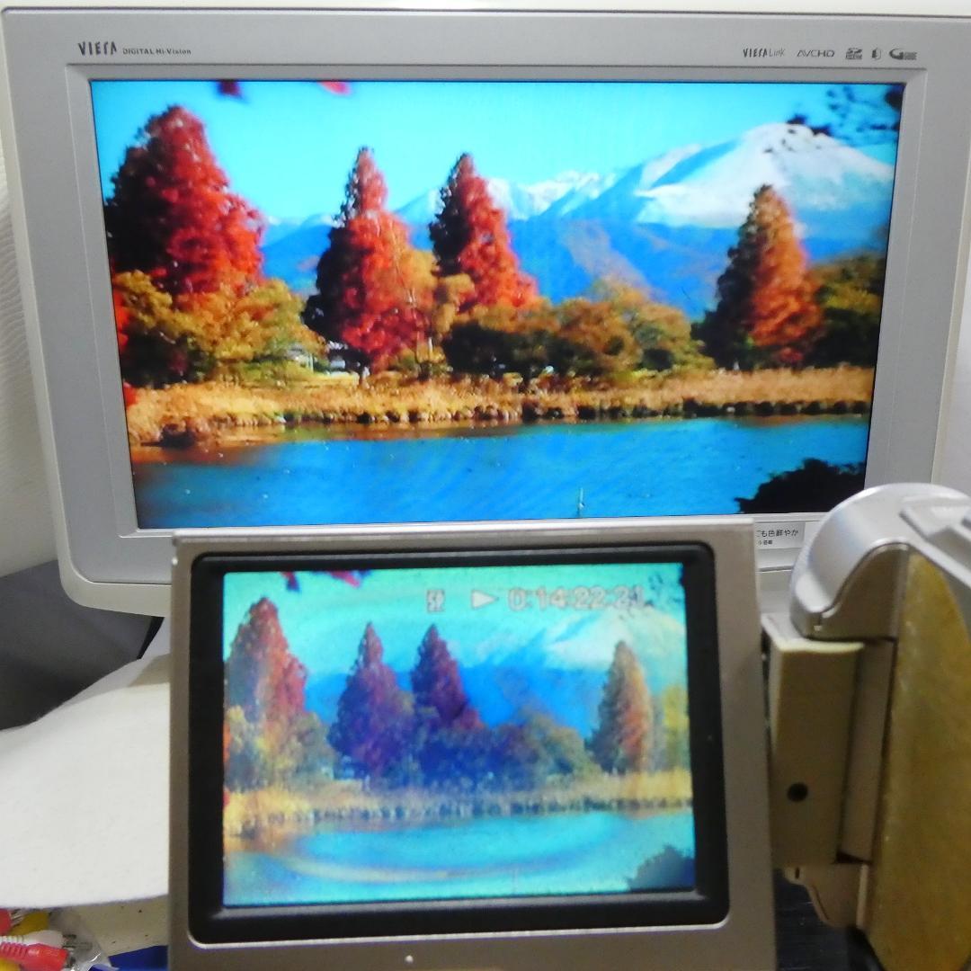 ソニー DCR-TRV10【動作品 】 MiniDVビデオカメラ　ダビングに最適
