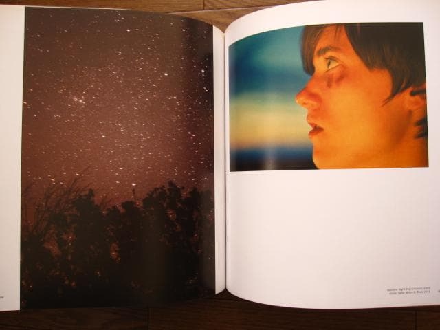 Ryan McGinley：Whistle for the Wind