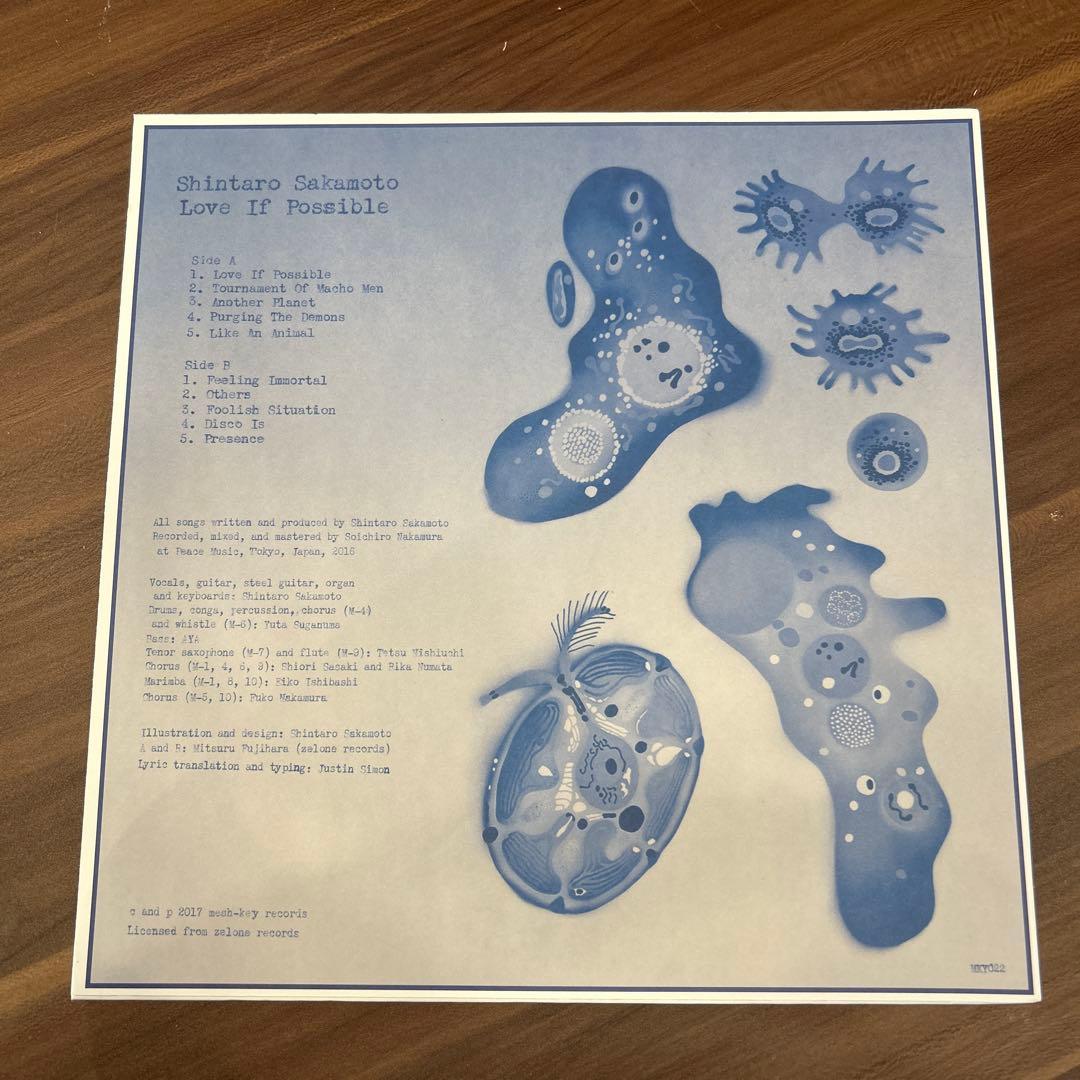 坂本慎太郎　Love is Possibles LP
