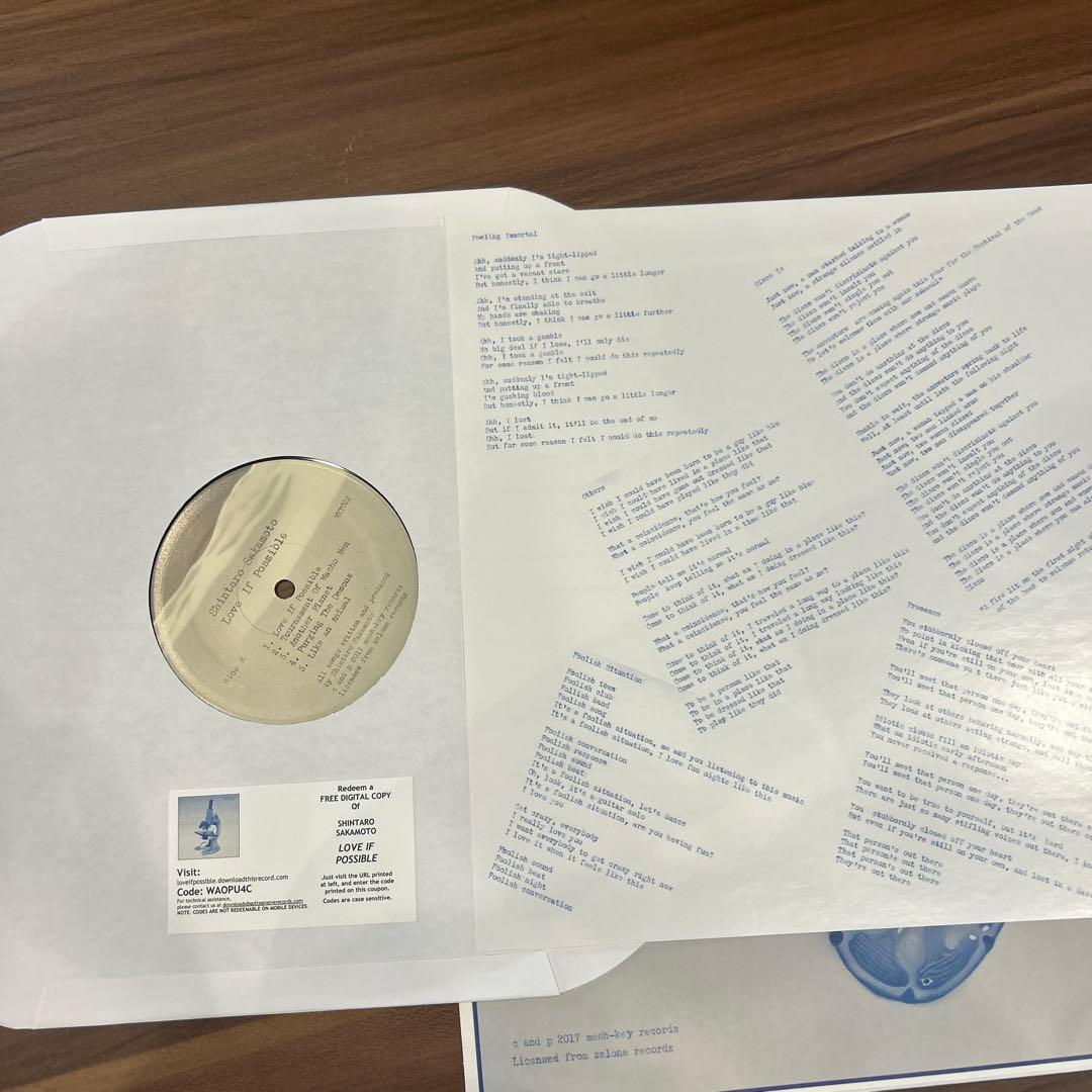 坂本慎太郎　Love is Possibles LP
