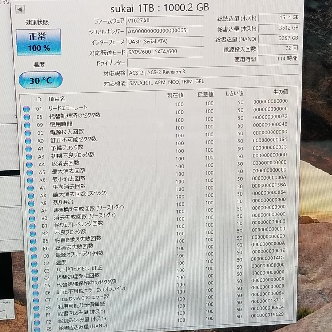 使用時間114時間 正常表示 SSD 1000GB 2.5インチ(B1902)