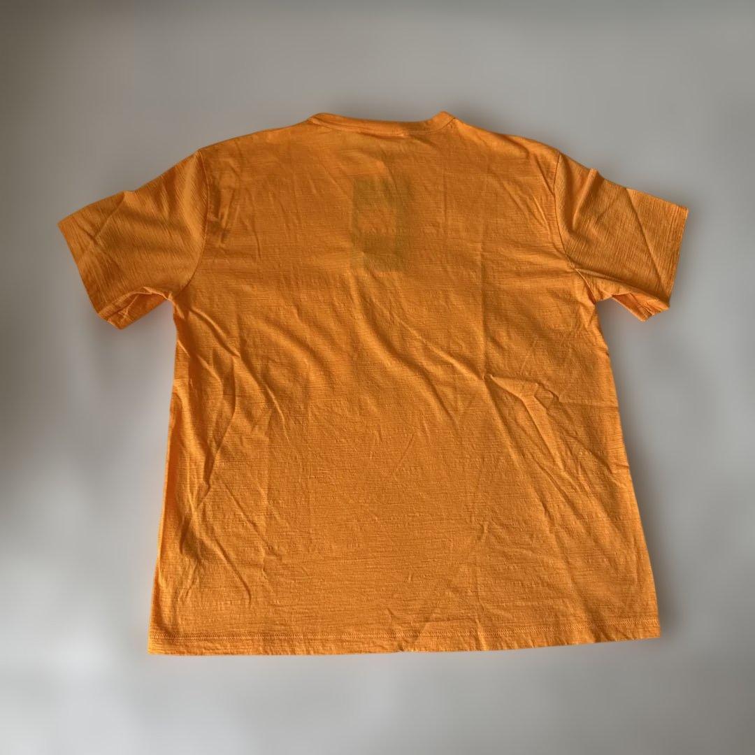 未使用　icebreaker メリノウール100% Tシャツ　陳皮