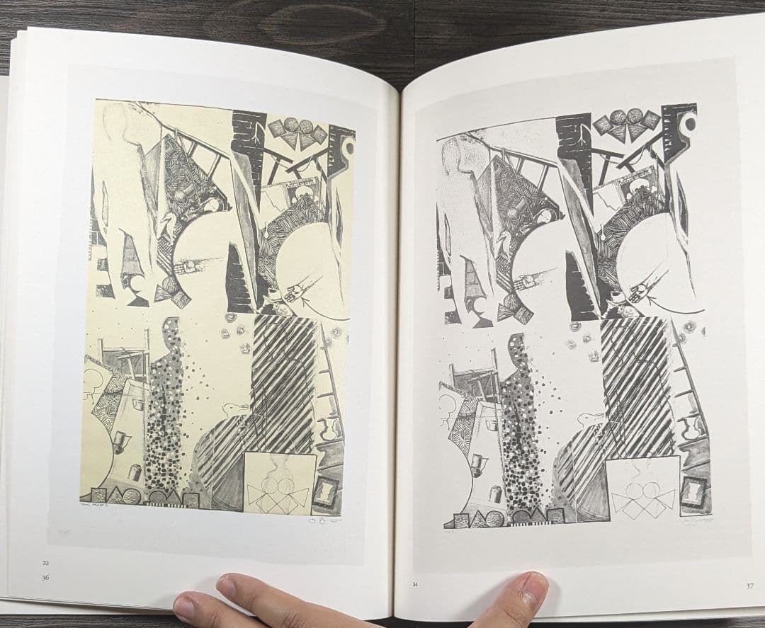 洋書　ジャスパー・ジョーンズ Jasper Johns The Seasons