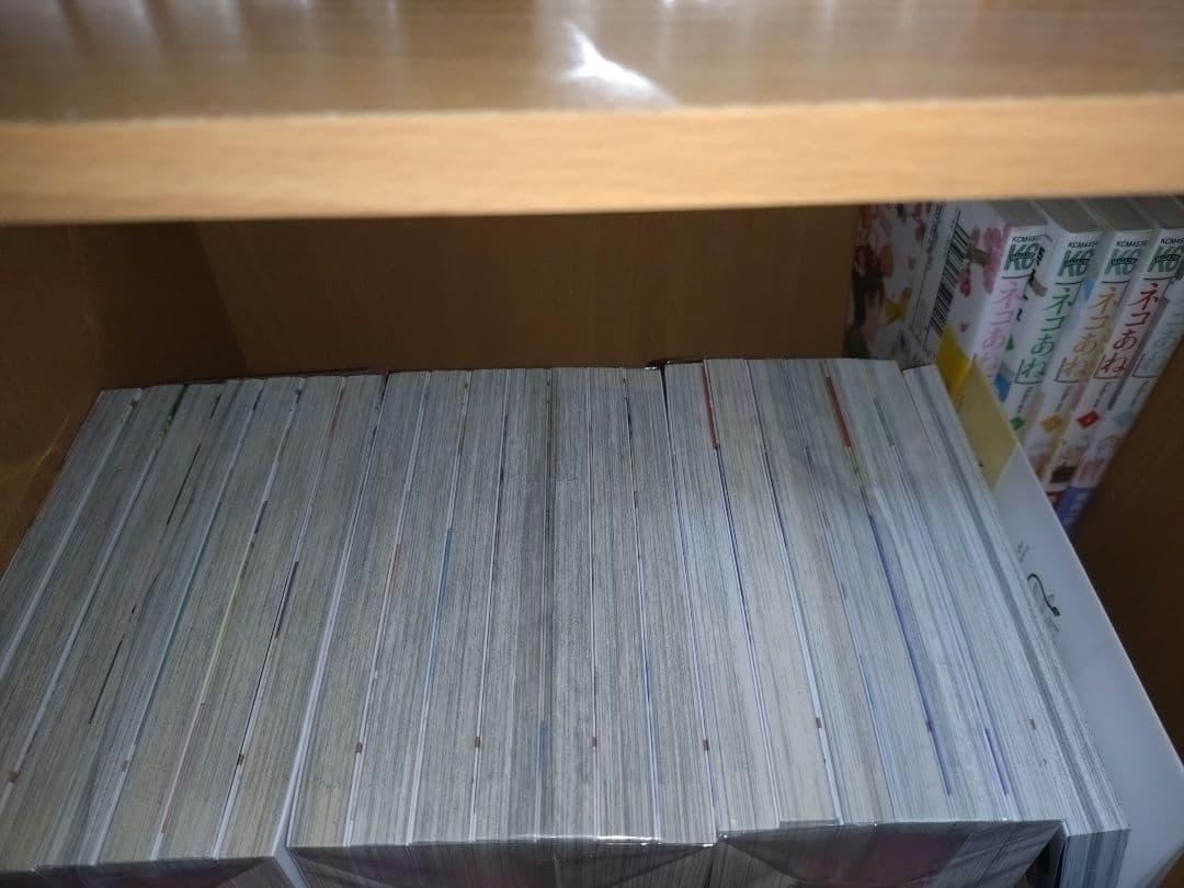 29歳独身中堅冒険者の日常　全巻　１〜２１巻