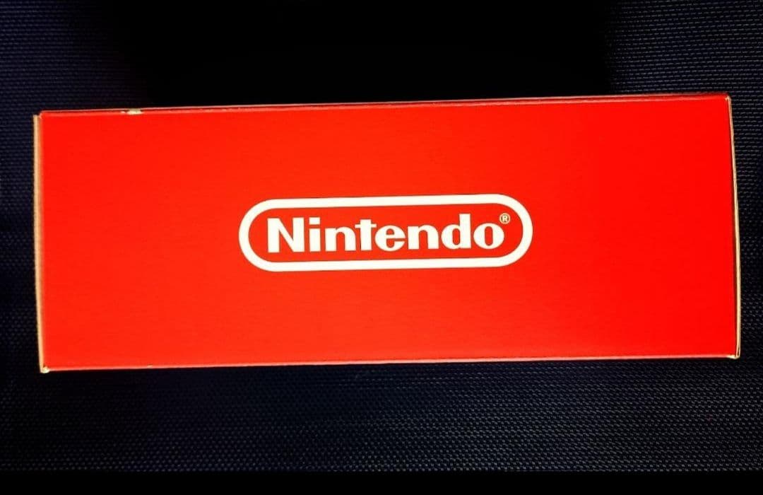 新品 Nintendo Switch Lite 《コラールピンク》