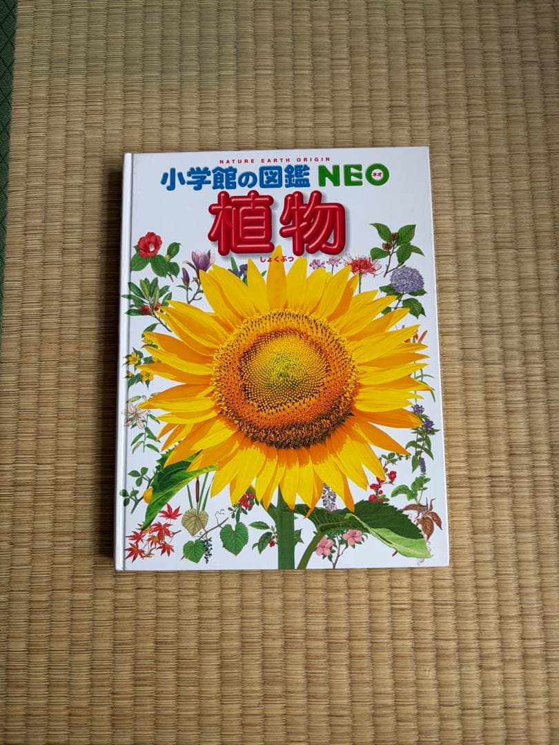 小学館の図鑑neo 12冊セット