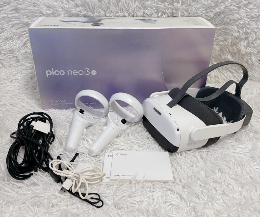 その他 Pico Neo3 Link