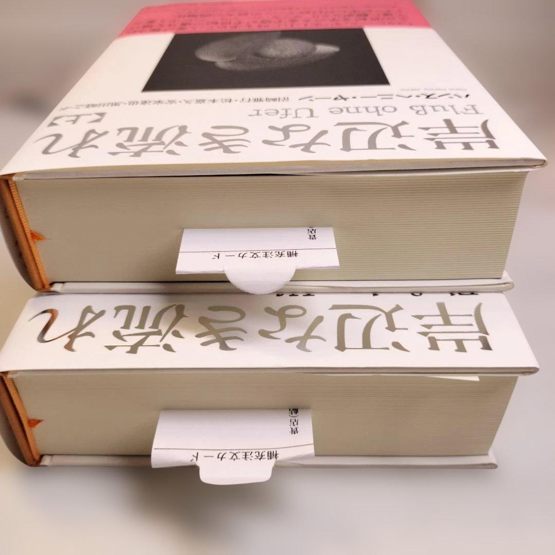 岸辺なき流れ 上下 ハンス・ヘニー・ヤーン 国書刊行会