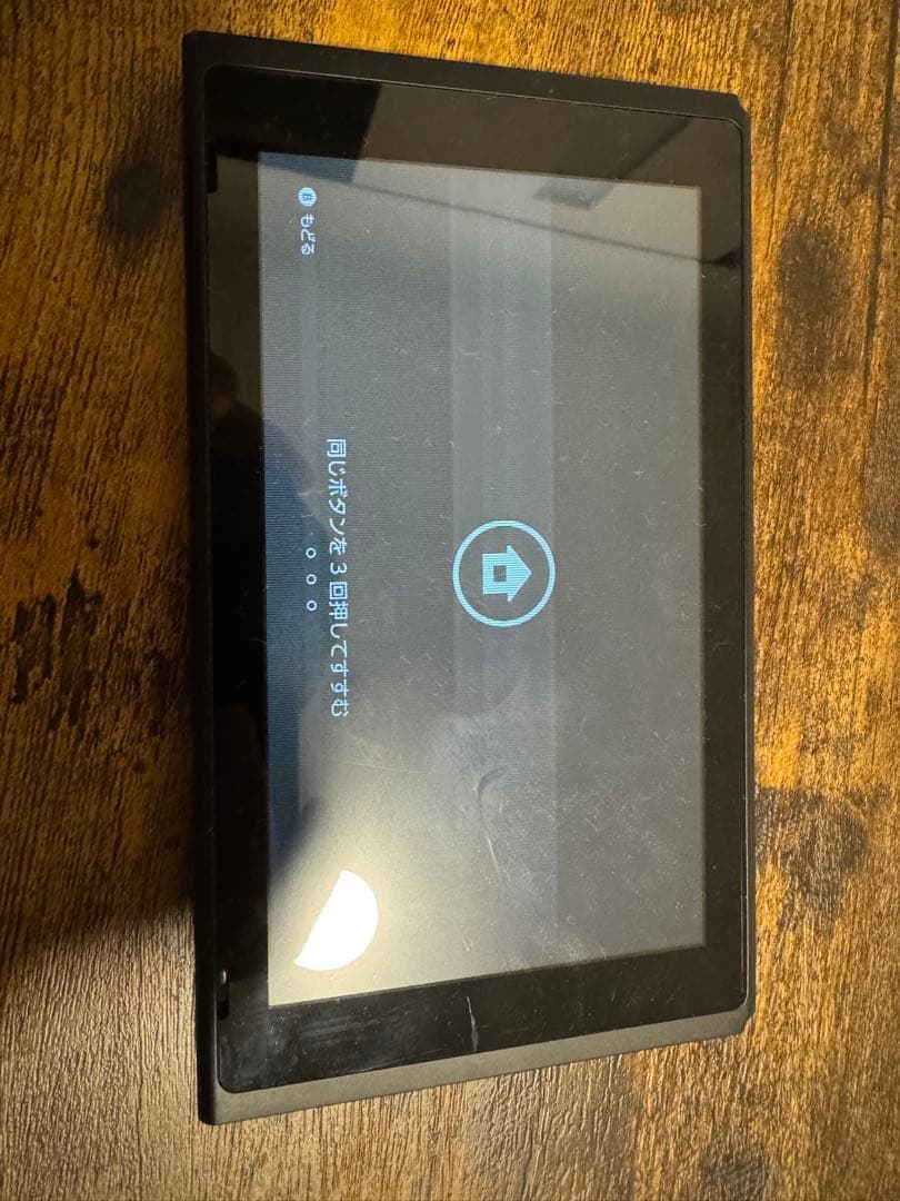 Nintendo Switch 画面のみ