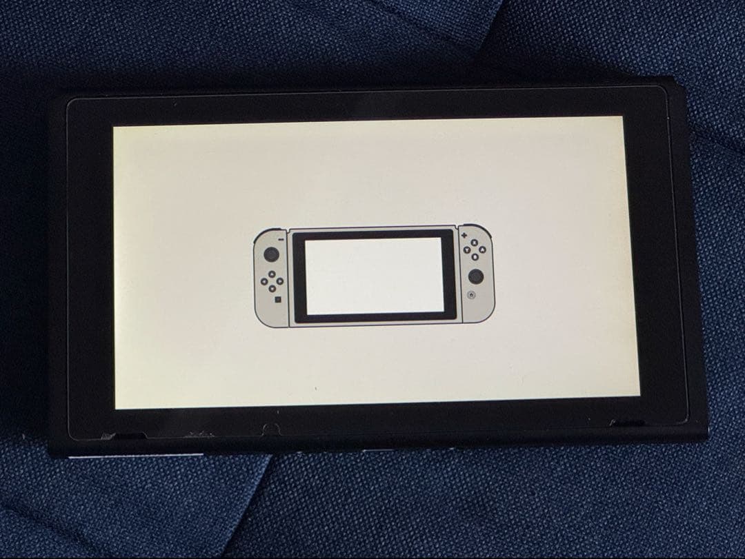 Nintendo Switch グレー 本体と付属品 + ケース等