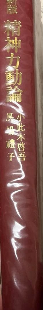 新版　精神力動論✨