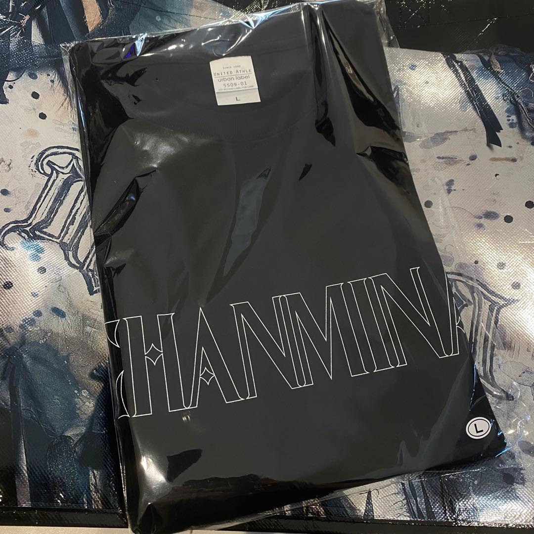 ちゃんみな ロングTシャツ Lサイズ