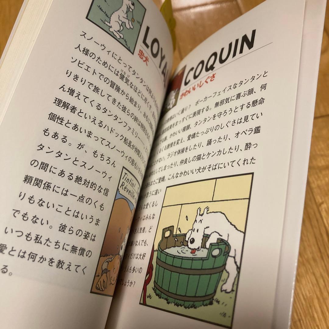 タンタンポストカードブック スノーウィ編 フランス 絵葉書 絵本 育児 テリア