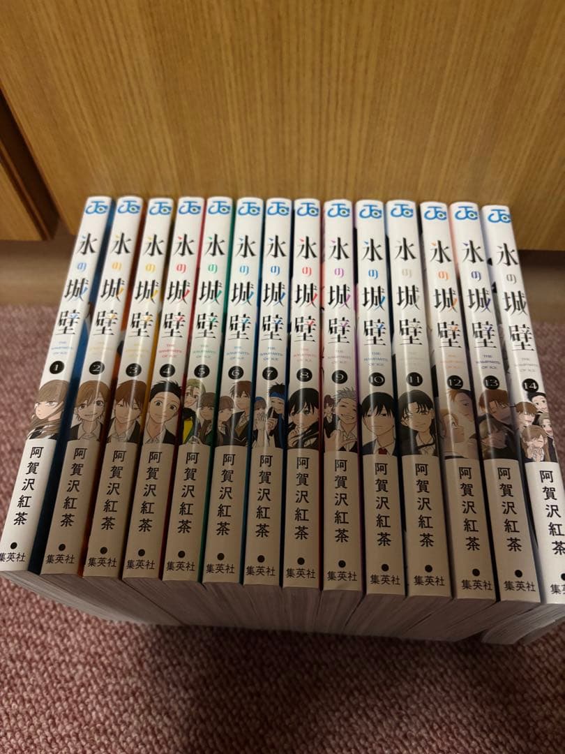 氷の城壁　全14巻