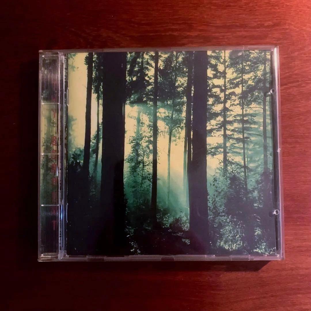 洋楽 THY SERPENT - Forests of Witchery