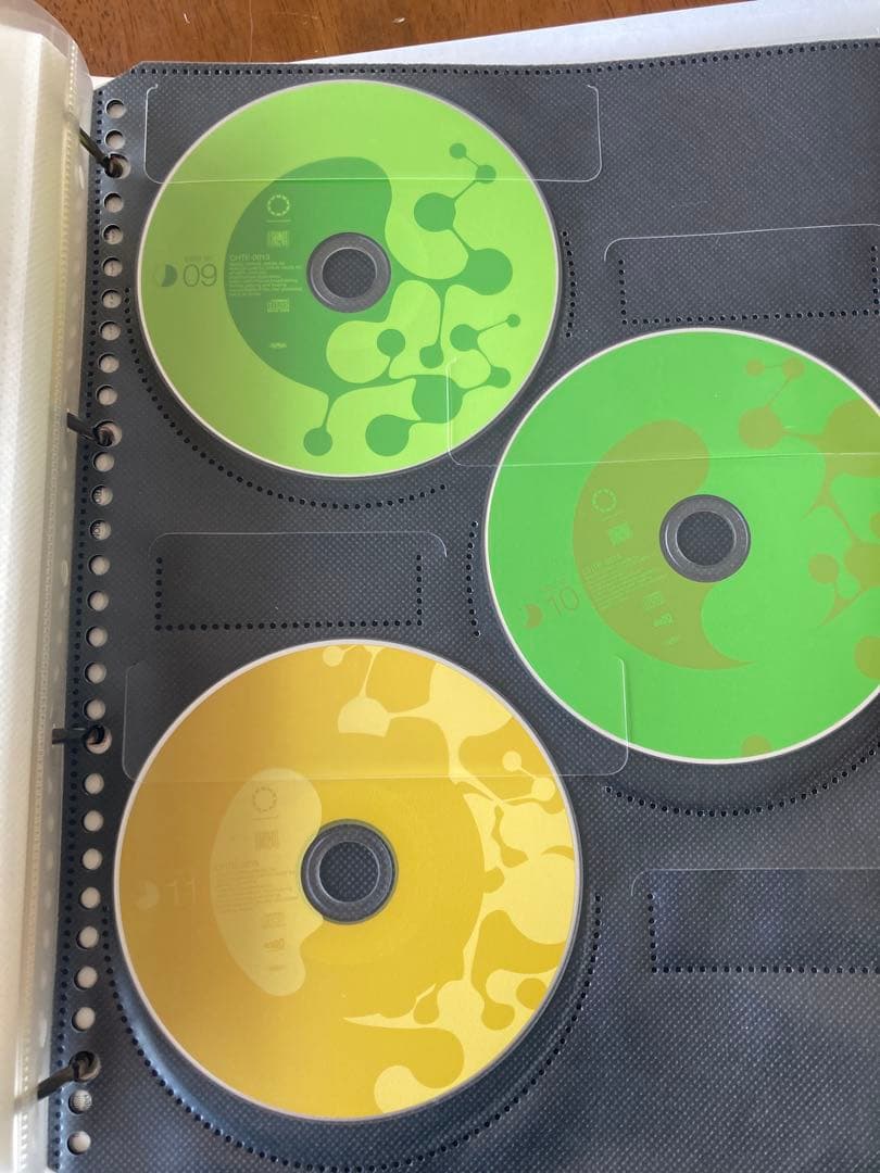 太陽系亞種音 P-MODEL ファンクラブ特典Disc00付