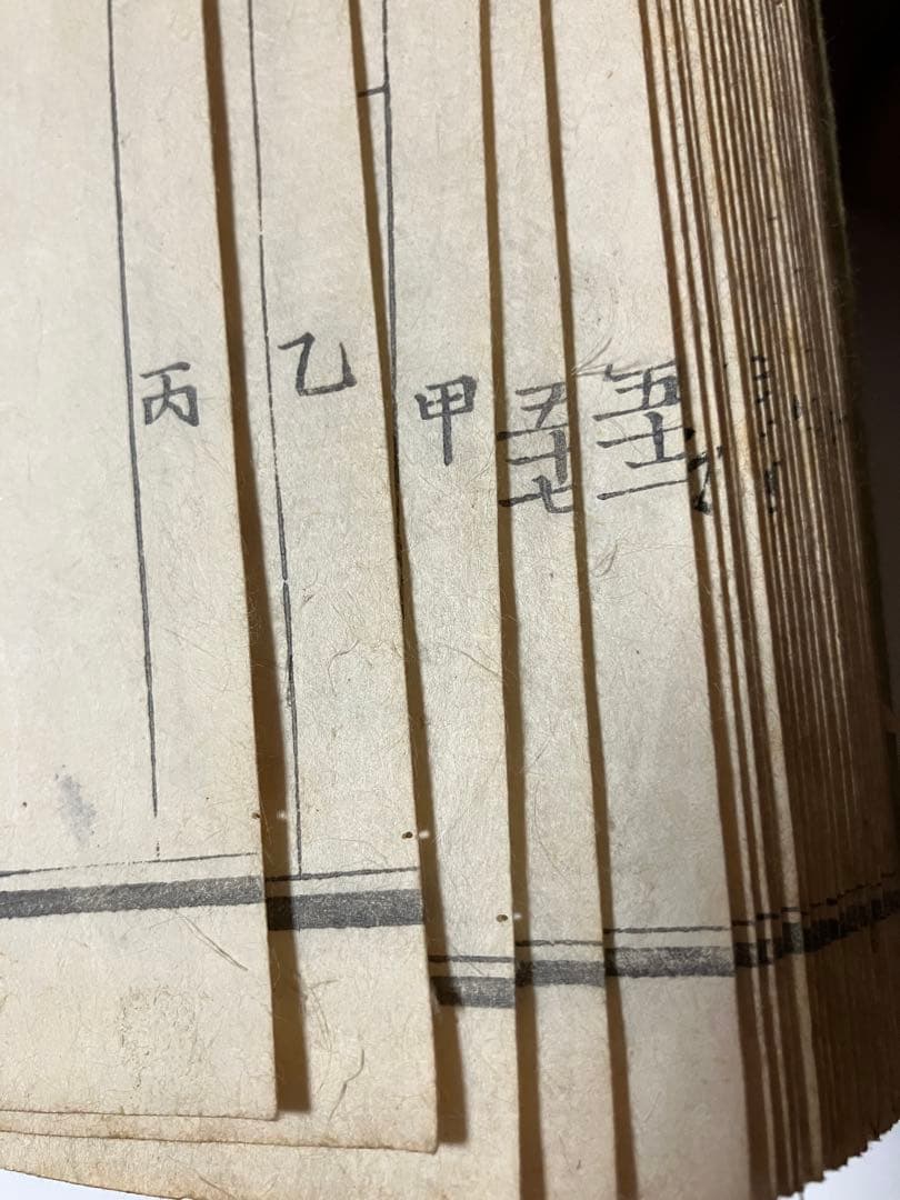 古書　全体新論図　体の構造を描いた本　安政4年　1857年刊