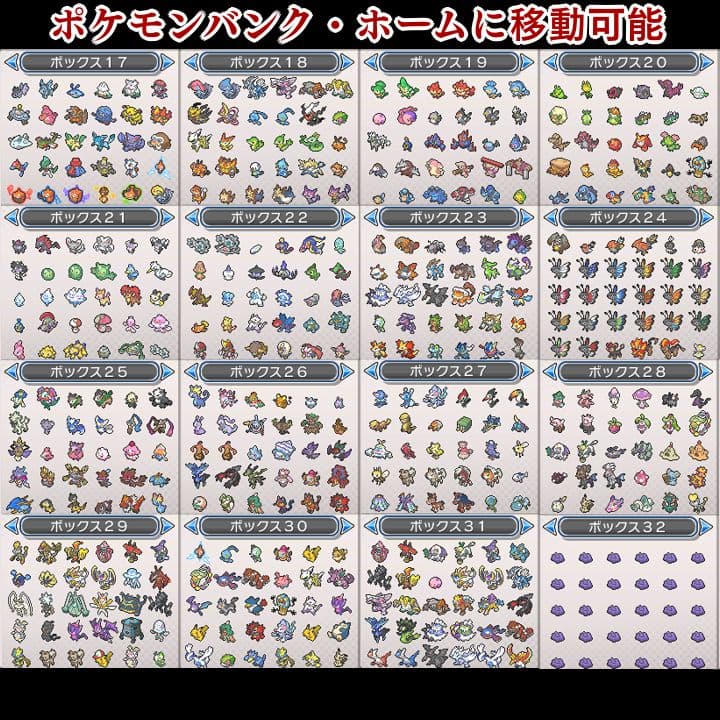 ポケットモンスター　ウルトラムーン　【ウルトラサンムーン】ポケモン　3DS　06