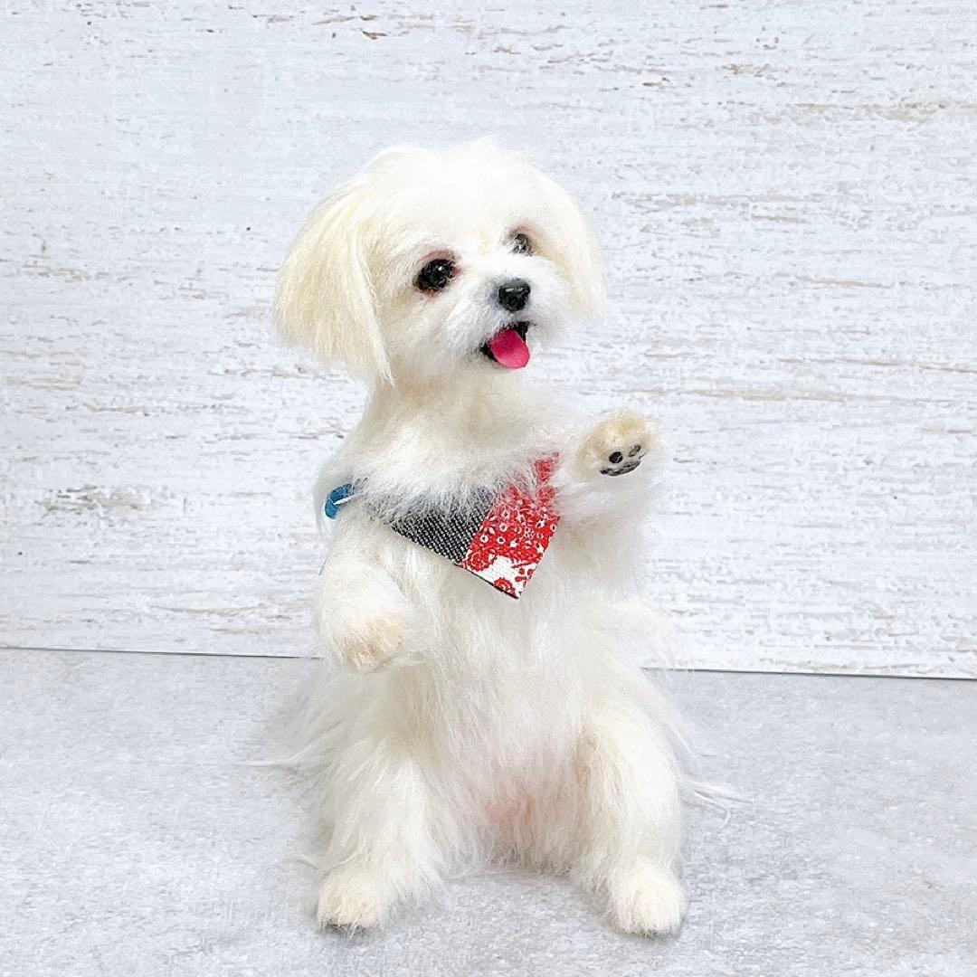 羊毛フェルト 犬 マルチーズ