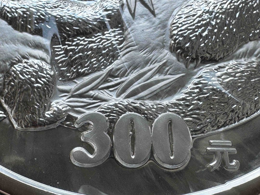 2005年 中国銀貨パンダ 1kg プルーフ大型記念｜発行枚数4,000枚