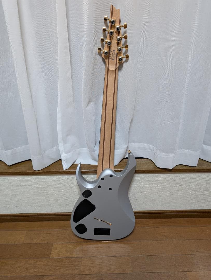 ギター Ibanez / RGDMS8 CSM