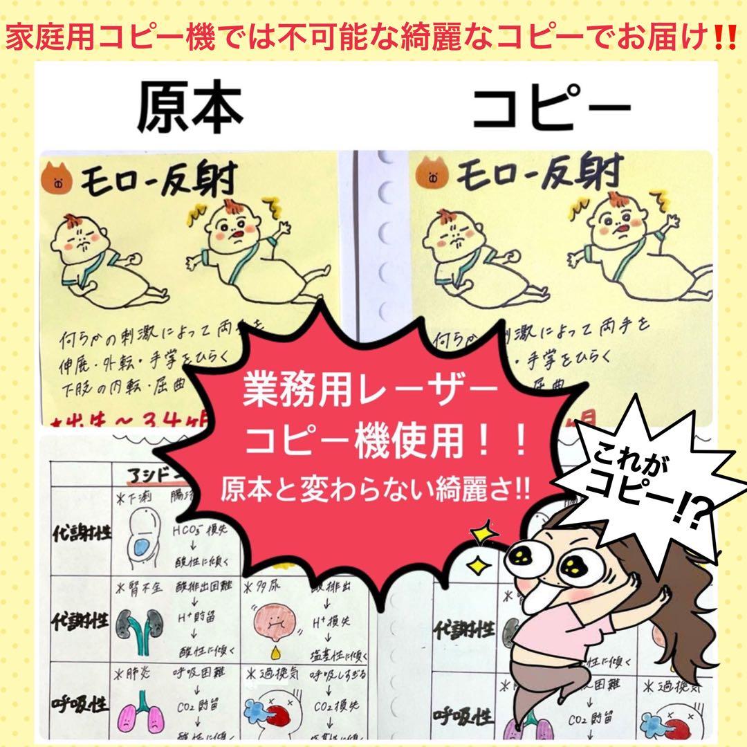 激安‼️ 看護師国家試験まとめノート付箋ノート 国試 解剖生理学 看護学生