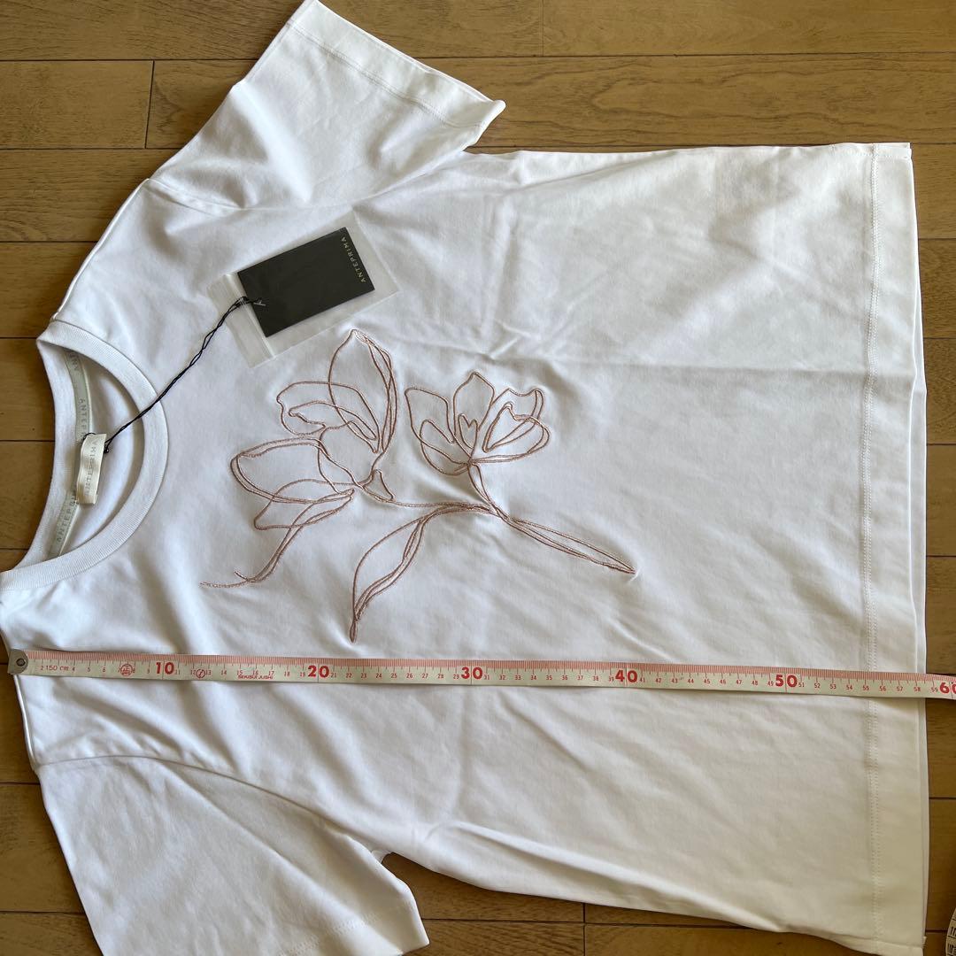 激安　新品　ANTEPRIMA 半袖Tシャツ　M 高級