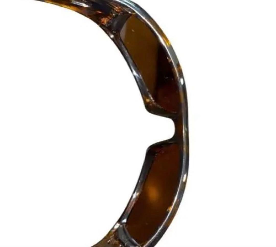 廃盤 OAKLEY HIJINX 03-591 ハイジンクス べっ甲柄 USA製