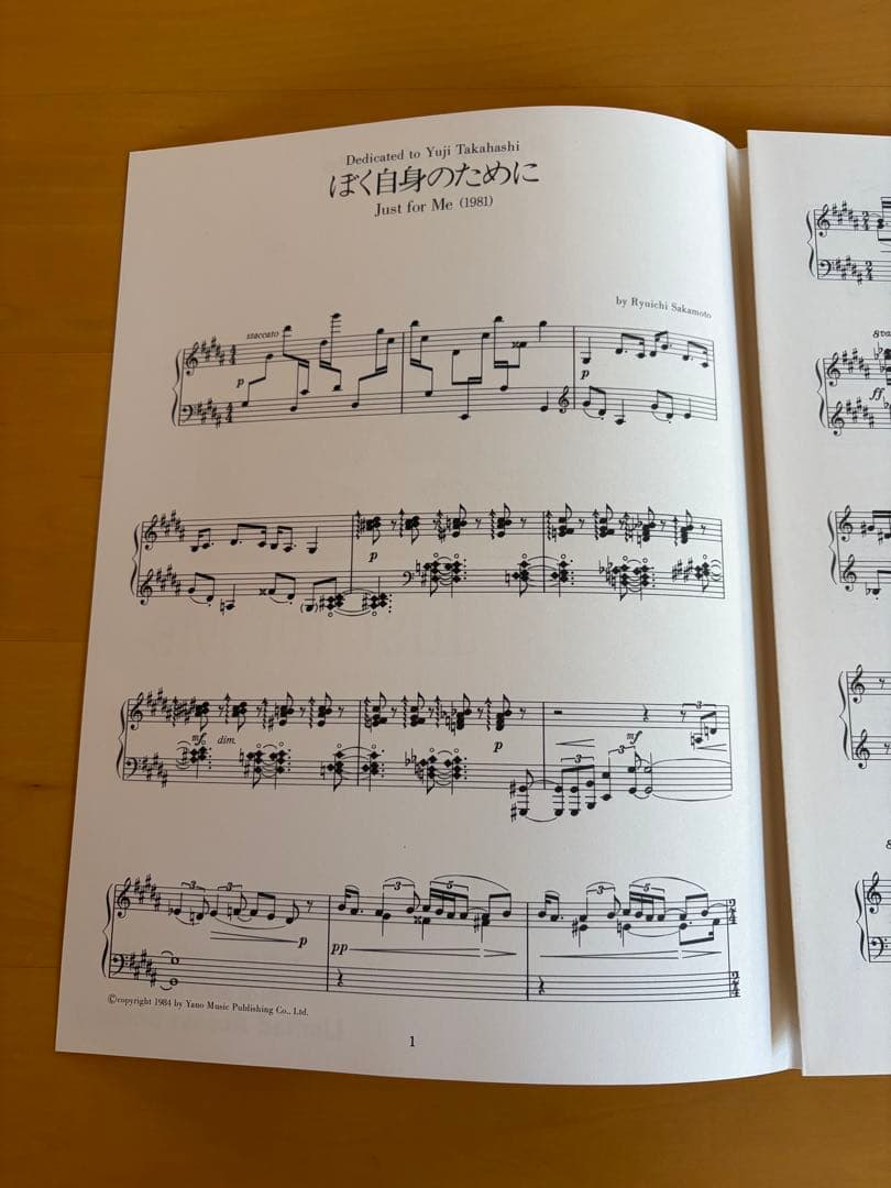 アート・デザイン・音楽 Limited Access Series Ryuichi Sakamoto