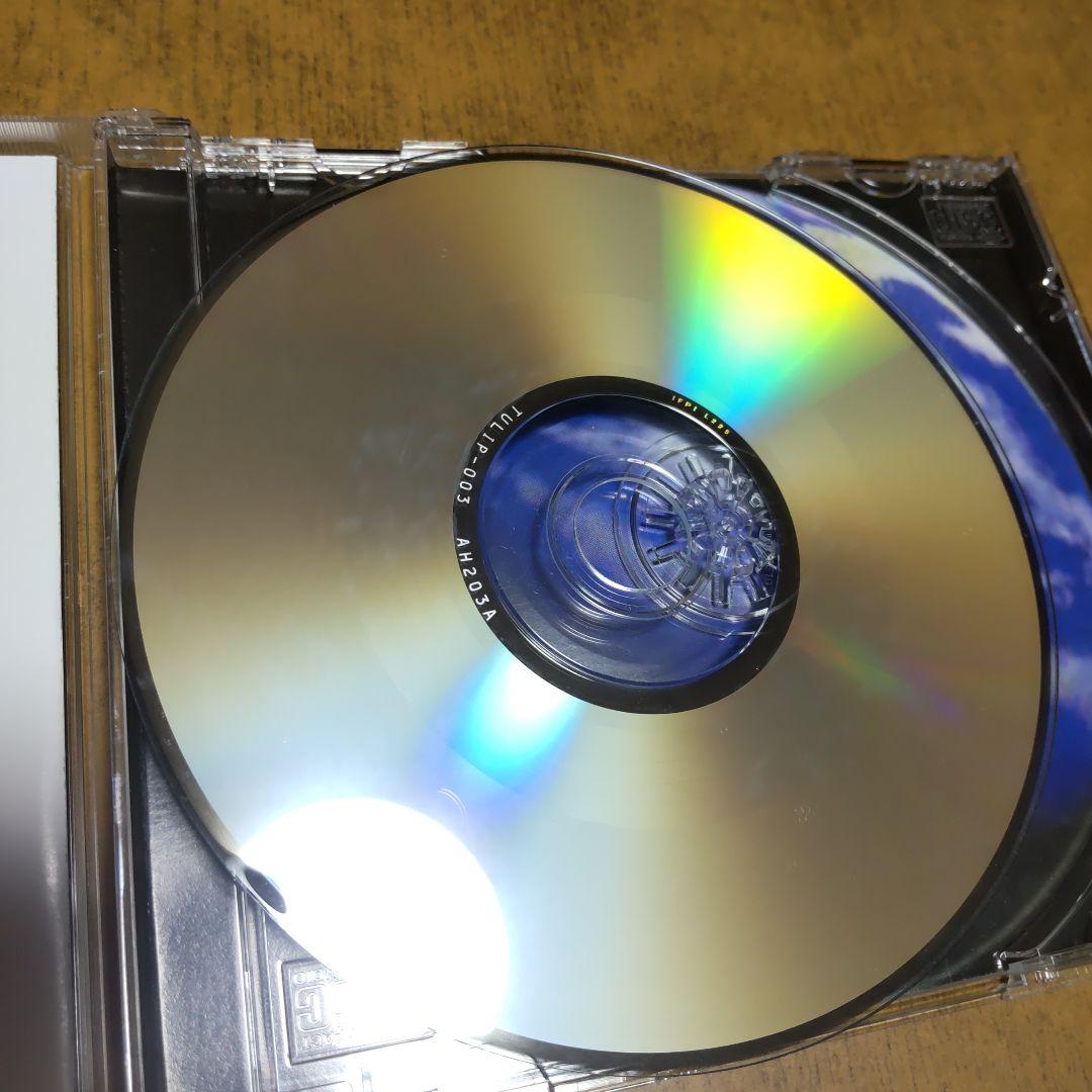 ビジュアル系　S エス ミニアルバムセット　大人？地球　昆虫採集　一年生
