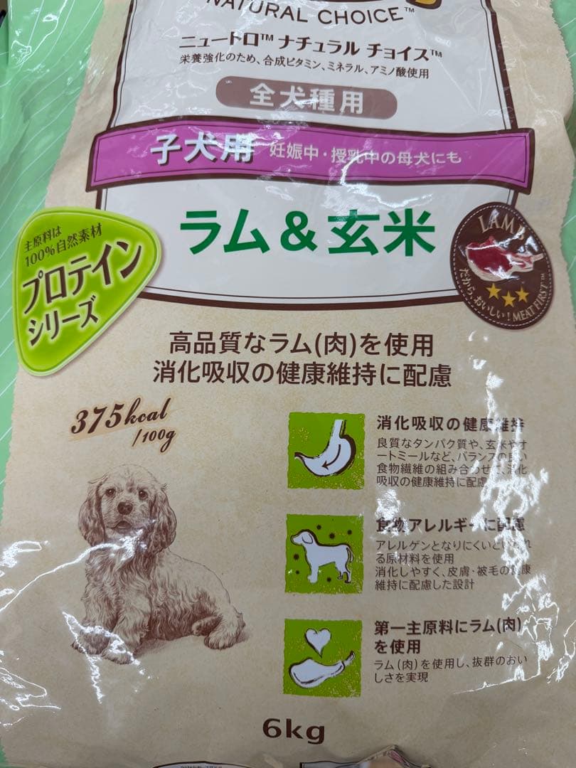 Nutro 子犬用 ラム&玄米 6kg