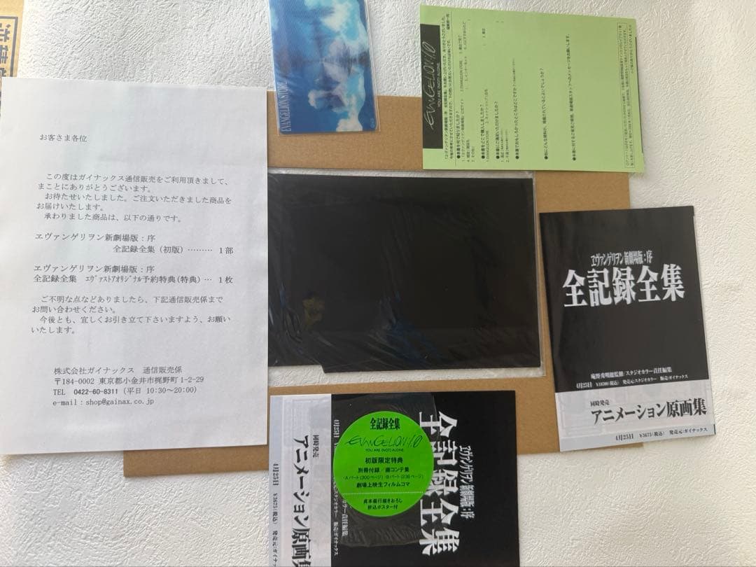 エヴァンゲリヲン新劇場版:序 全記録全集「初版」