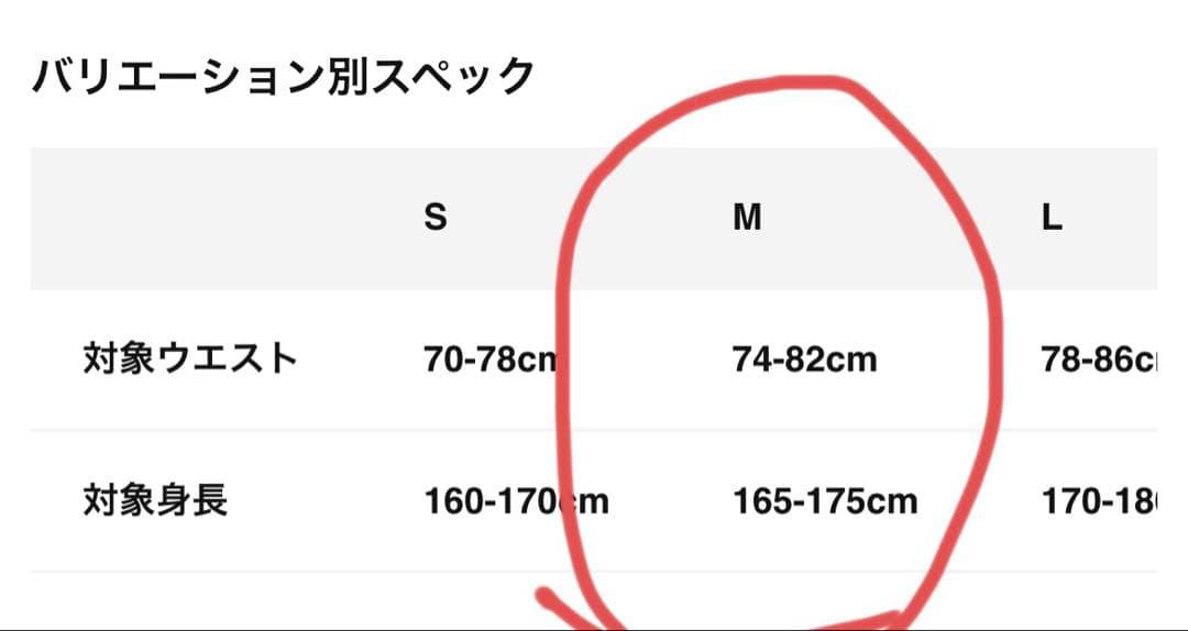 【廃盤レア】ノースフェイス　エンデュリストレイルショーツ　M　キャバングレー