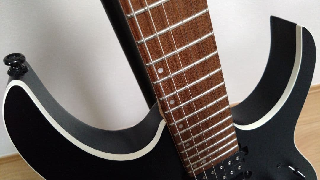 【サム】Ibanez アイバニーズ RG370ZB WB