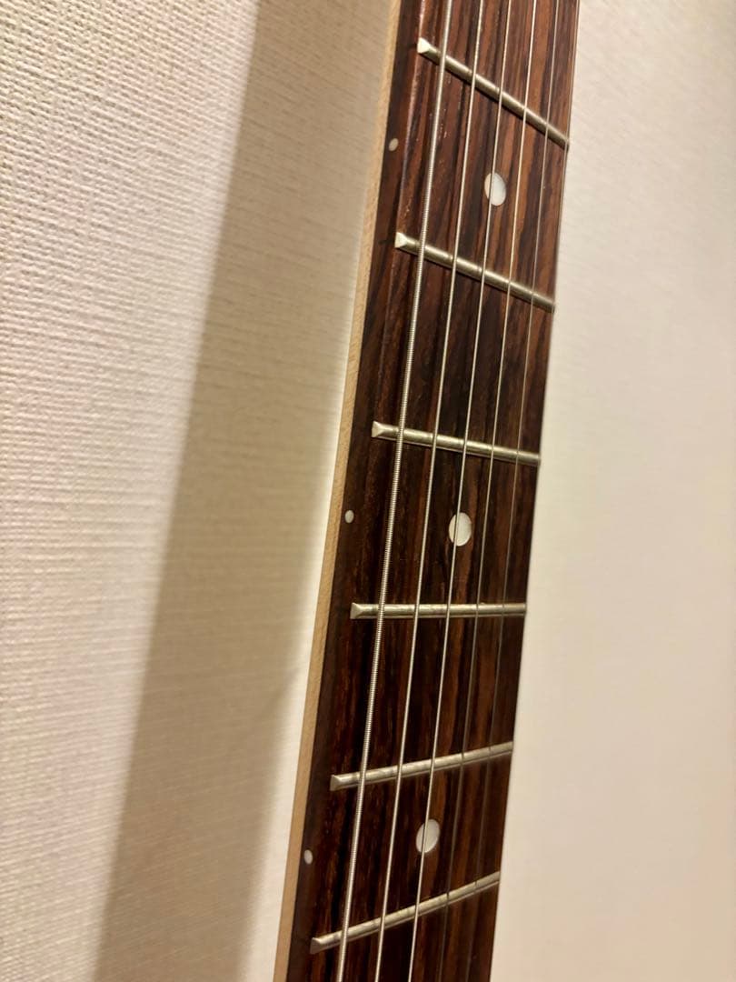 PLAYTECH テレキャスター プレイテック TL250 Rose Green