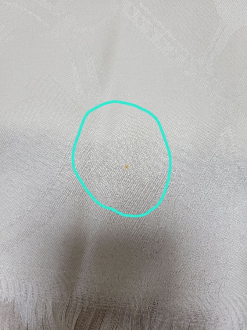 エルメス オフホワイト ストール フリンジ付き