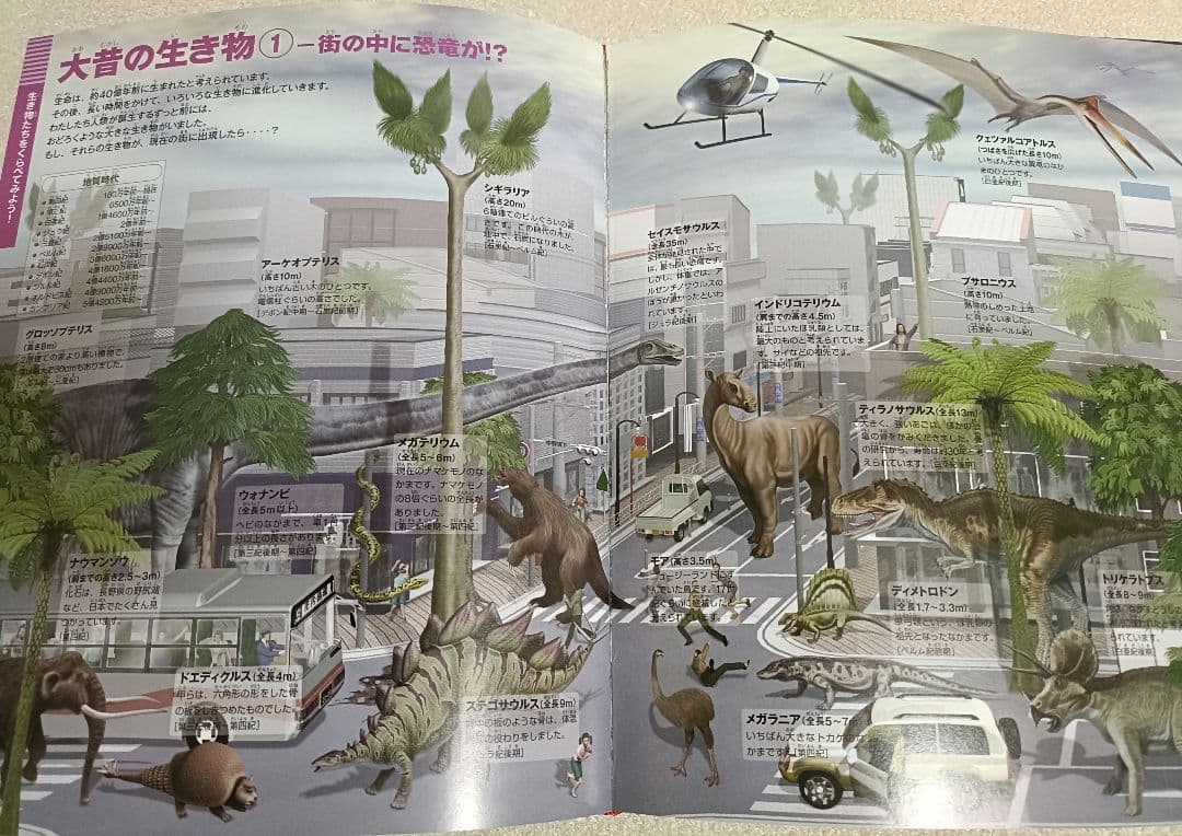 小学館の図鑑NEO 12冊+21世紀こども百科1冊 全13冊セット