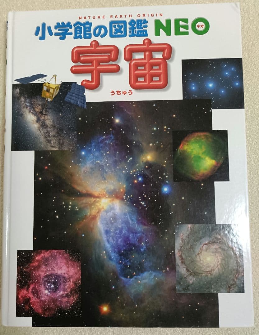 小学館の図鑑NEO 12冊+21世紀こども百科1冊 全13冊セット