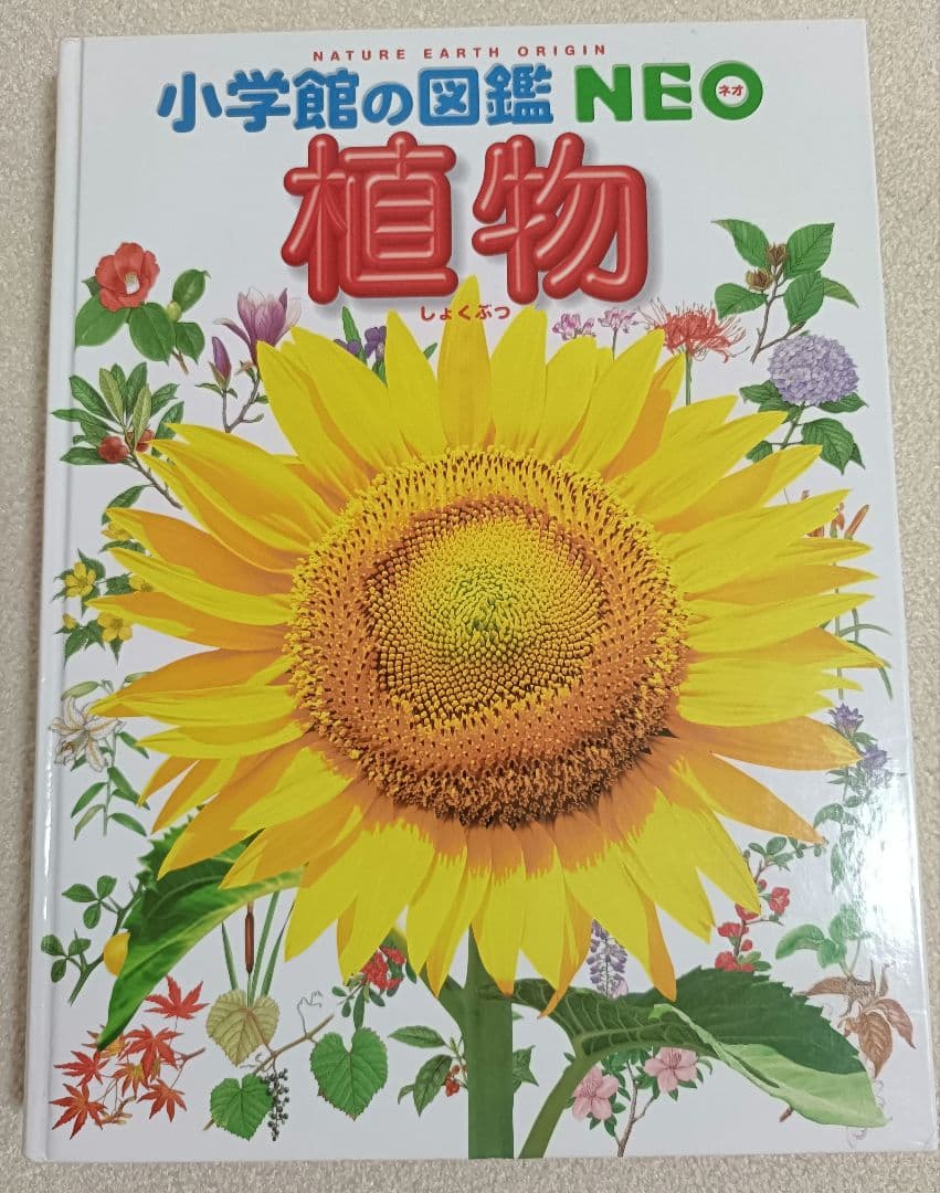 小学館の図鑑NEO 12冊+21世紀こども百科1冊 全13冊セット