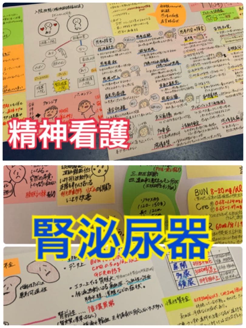 まとめ価格！看護師国家試験対策 付箋 暗記カード 解剖生理　付箋ノート