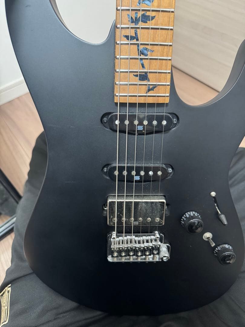 【しおにゃん】ibanez Premium AZ226-BKF