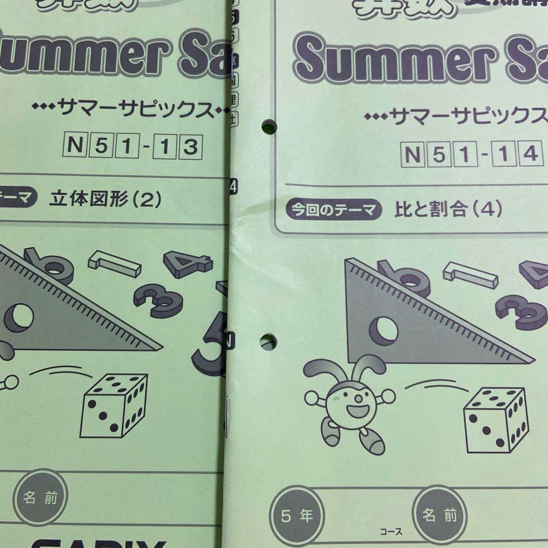 サピックス 5年 算数夏期講習 Summer sapix フルセット。(14冊)