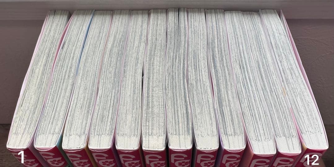 主人恋日記 全12巻セット（吉永ゆう作品）