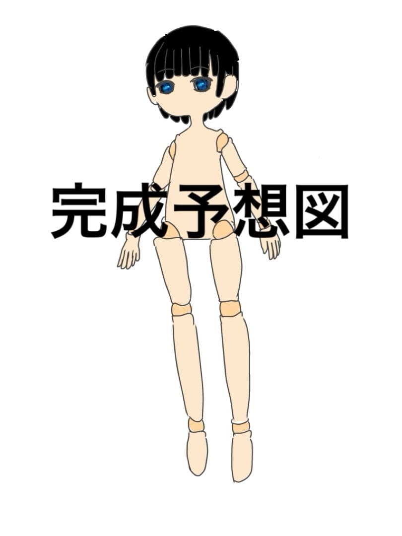 しゅんページ　カスタムドール 肌色 黒髪 青い目