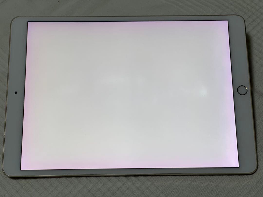 iPad Pro 10.5インチ 256GB