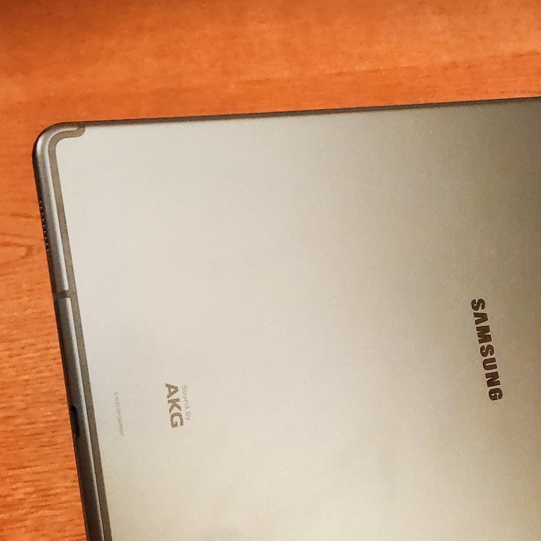 Galaxy Tab S6 Lite S-pen 代替品rayterk