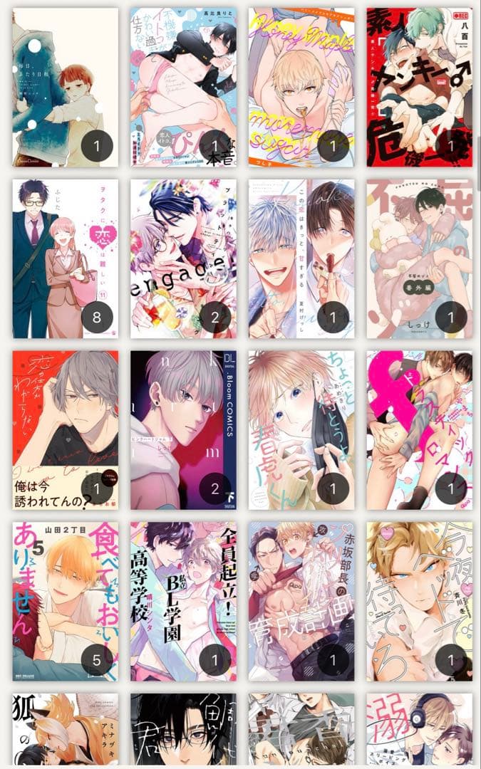 最終値下げ！BL ボーイズラブ 漫画 人気巻多数！！ 合計531巻