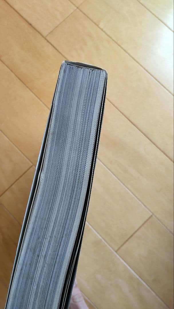 交感スルデザイン α-1 安藤忠雄