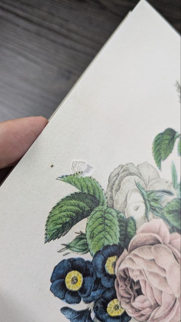 洋書ジョン・デリアン(JOHN DERIAN) STICKER BOOK